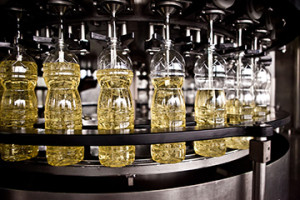 shutterstock_248796688_bottle filler_2